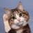 🔎 RexieCat avatar