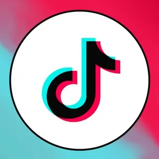 TikTok Downloader - without watermark avatar