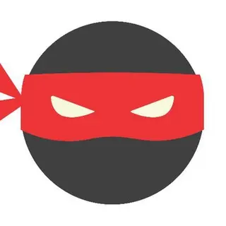 🥷 VPN.fail Bot 🤖 avatar